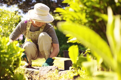 Garden tools on a Limehouse garden background