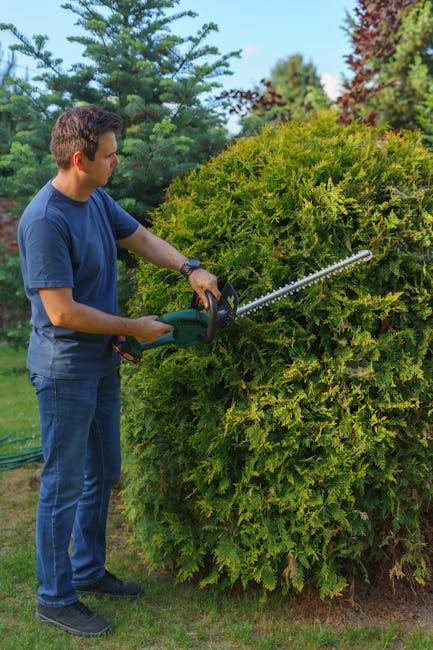 A close-up view of a gardener's hands performing hedge trimming in a lush garden with vibrant green foliage. One hand holds a pair of bright green and black pruning shears, carefully cutting small, fr